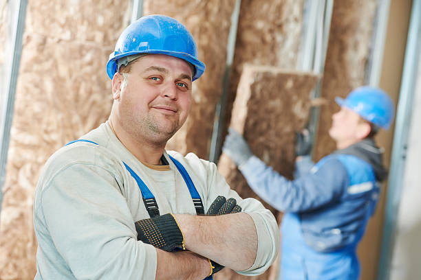 Best Insulation Maintenance and Repair in Meadowdale, WA